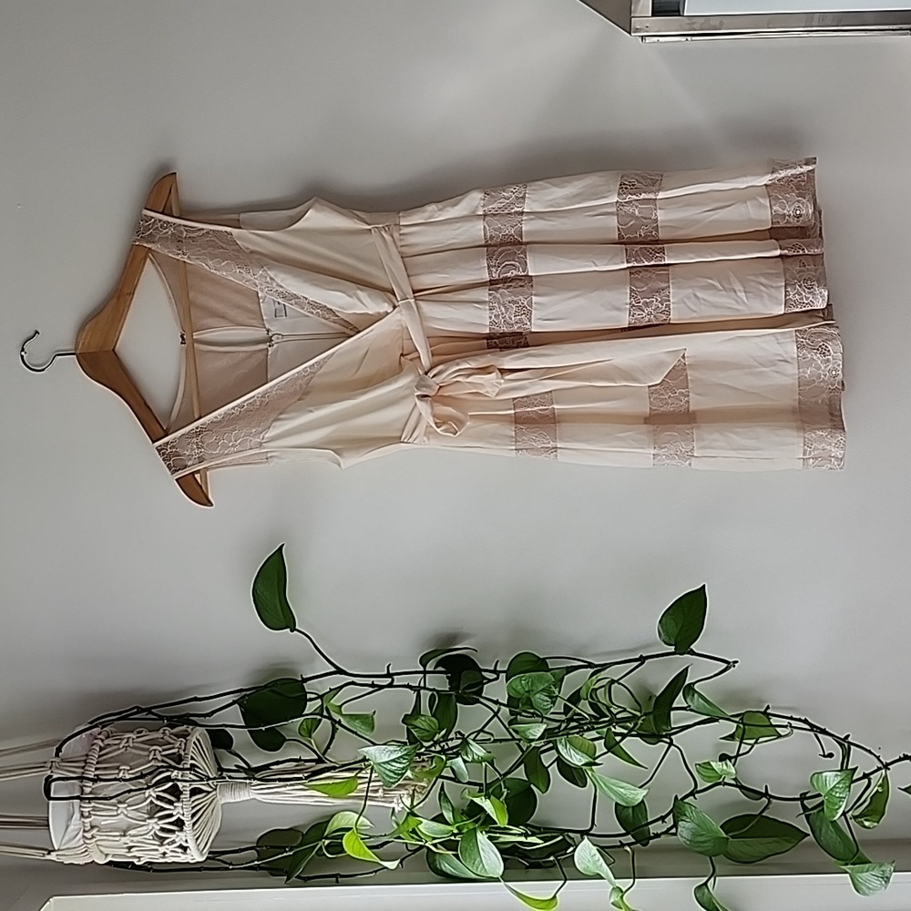 Max and cleo dress